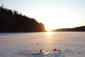 Fishing Cottage on Lake Saimaa